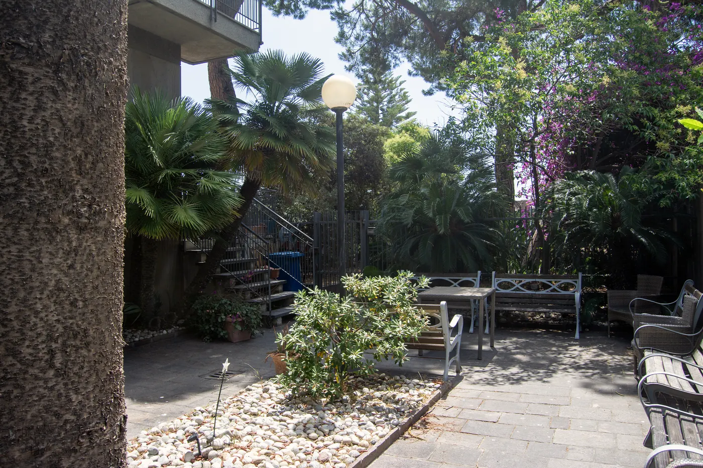 Giardino con palme e vialetto della RSA Le Palme ad Arma di Taggia