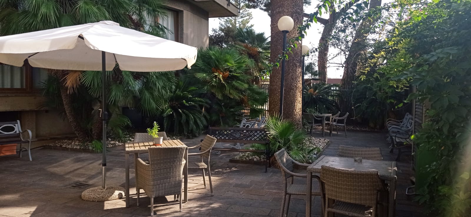 Giardino con palme e spazi all'aperto della RSA Le Palme