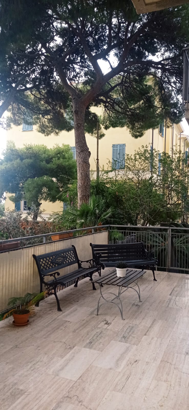 Terrazza con alberi e sedute della RSA Le Palme ad Arma di Taggia